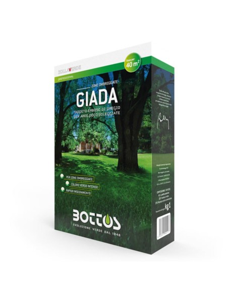 ZOLLAVERDE GIADA semi prato per ombra e freddo