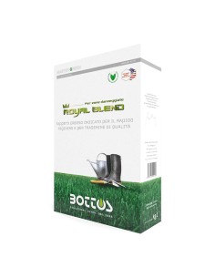 MASTER GREEN ROYAL BLEND semi prato, top per rigenerare
