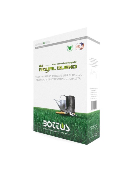 MASTER GREEN ROYAL BLEND semi prato, top per rigenerare