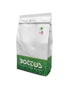 MASTER GREEN ROYAL BLEND semi prato, top per rigenerare 2