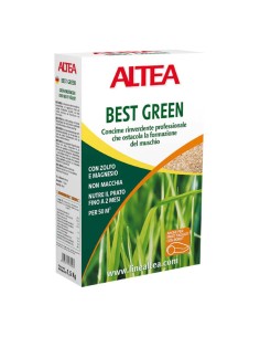 BEST GREEN professionale non macchia elimina muschio