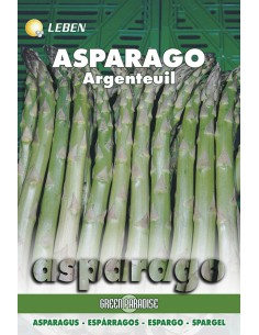 SEMI ASPARAGO P. ARGENTEUIL LBO