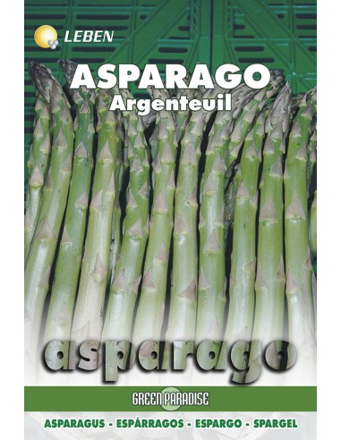 ASPARAGO P. ARGENTEUIL LBO