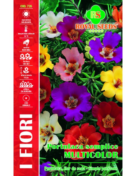 SEMI PORTULACA SEMPLICE MULTICOLOR Tappeto fiorito