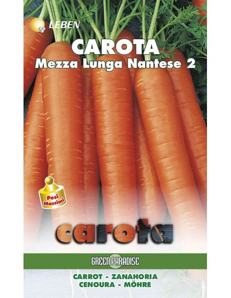 CAROTA MEZ.LUNGA NANTESE LBM