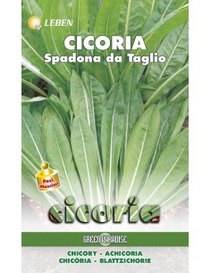 SEMI DI CICORIA SPADONA QUALITA' SUPERIORE