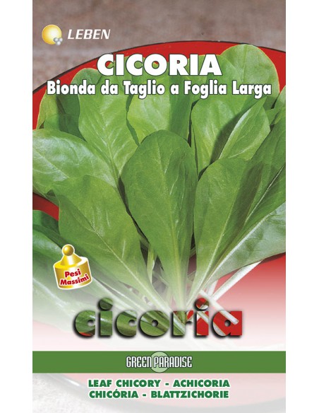 CICORIA T.BIONDA F.LARGA LBM