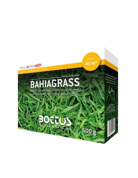 BAHIA-GRASS (PASPALUM NOTATUM) semi prato resistente
