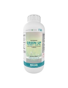 MASTER GREEN GREEN UP 16-0-0 + 3,5 FE concime