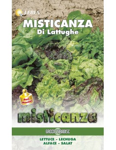SEMI DI MISTICANZA LATTUGHE foglie colorate e croccanti