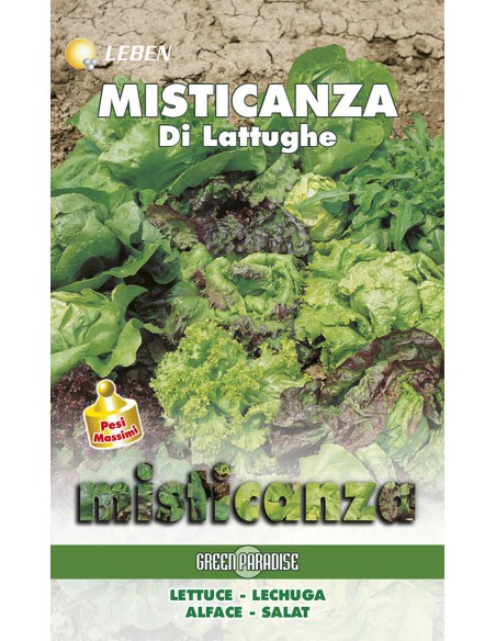 SEMI DI MISTICANZA LATTUGHE foglie colorate e croccanti