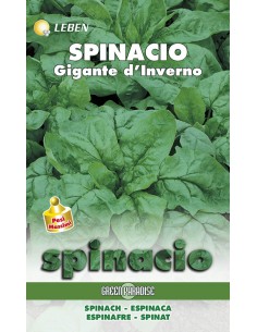 SEMI SPINACIO GIGANTE D'INVIERNO foglie croccanti.