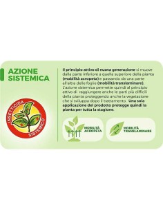 INSETTICIDA SISTEMICO PG SANIUM AL PE per piante edibili 2