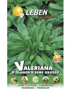 SEMI VALERIANA D'OLANDA A SEME GROSSO