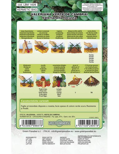 SEMI VALERIANA VERTE CAMBRAI