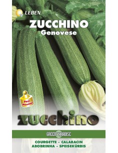 SEMI DI ZUCCHINO GENOVESE pianta vigorosa frutti teneri