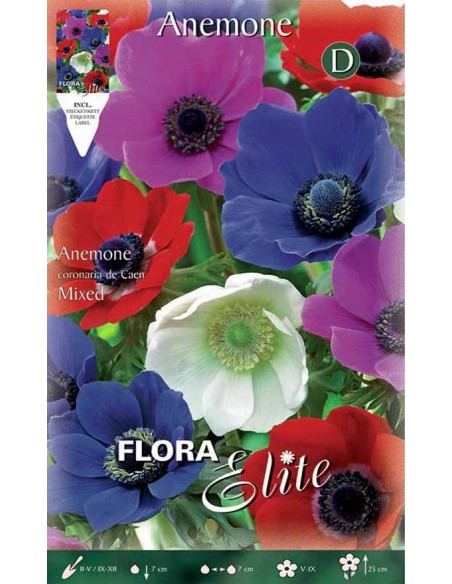 ANEMONE COLORI ASSORTITI (coronaria de caen) 20 BULBI
