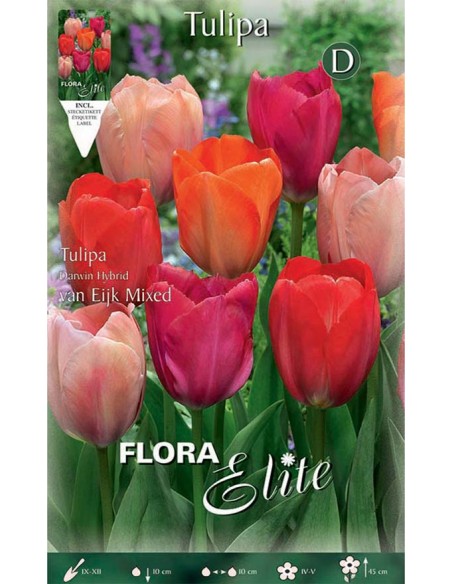 TULIPANO "VAN EIJK MIXED" (darwin hybrid) 10 BULBI