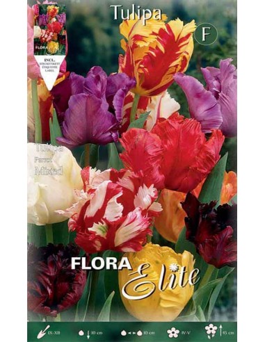 TULIPANO "MIXED" COLORI ASSORTITI (parrot) 7 BULBI