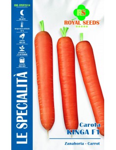 SEMI DI CAROTA KINGA F1 sapore dolce forma cilindrica