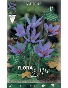 CROCUS "ZAFFERANO" (sativus) 10 BULBI