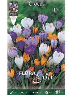 CROCUS "MIXED" (vernus) 10 BULBI