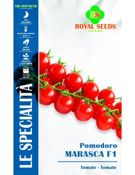 POMODORO MARASCA IBRID.F1 SP