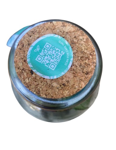 COMPOSIZIONE PIANTE TERRARIUM IN VETRO diam.10 cm