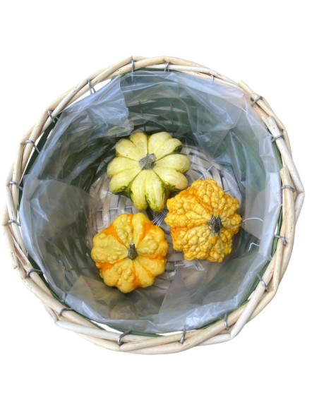 MINI ZUCCA Decorativa: Un Tocco Magico per la Tua Casa.