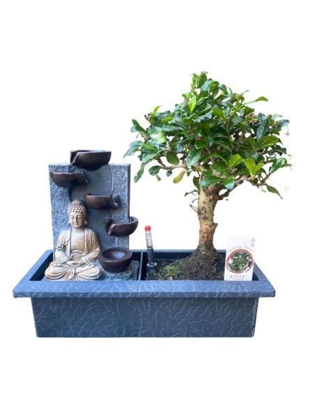 BONSAI CON FONTANA Armonia Zen per la Tua Casa