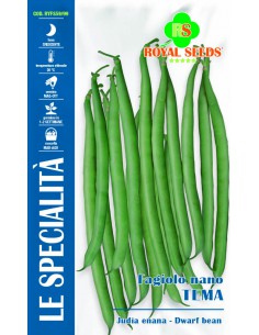 SEMI FAGIOLO NANO TEMA 200 GR