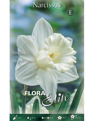 TULIPANO 'PEACOCK MIXED' (greigii) 10 BULBI