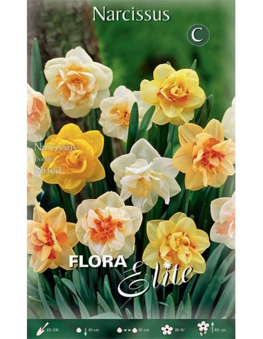 NARCISO 'MIXED' (double) 5 BULBI