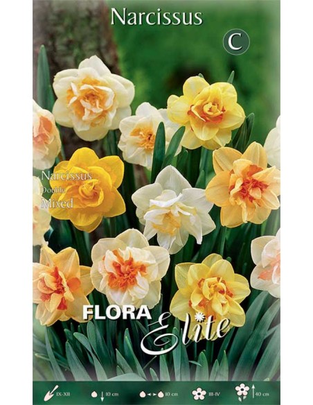 NARCISO 'MIXED' (double) 5 BULBI