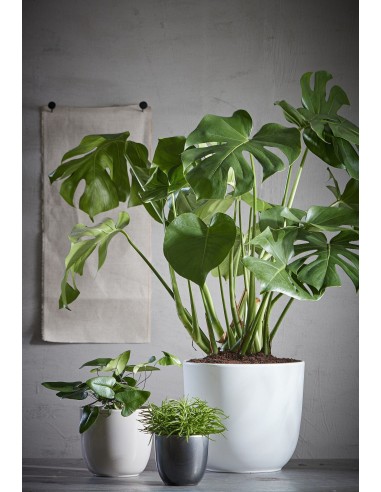 COPRIVASO IN CERAMICA TUSCA ROTONDO Bianco