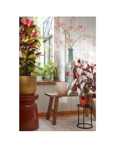 COPRIVASO NOLA VASO TONDO BEIGE Effetto "Puntinato"