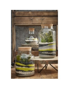 VASO/PORTAOGGETTI TRASPARENTE: Terrari e Decorazioni 2