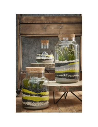 VASO/TERRARIO TRASPARENTE: Terrari e Decorazioni