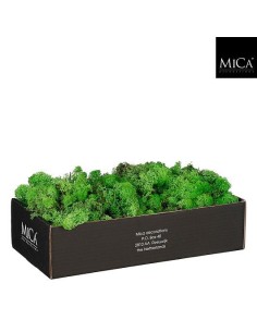LICHENE MUSCHIO STABILIZZATO 500 gr di alta qualità