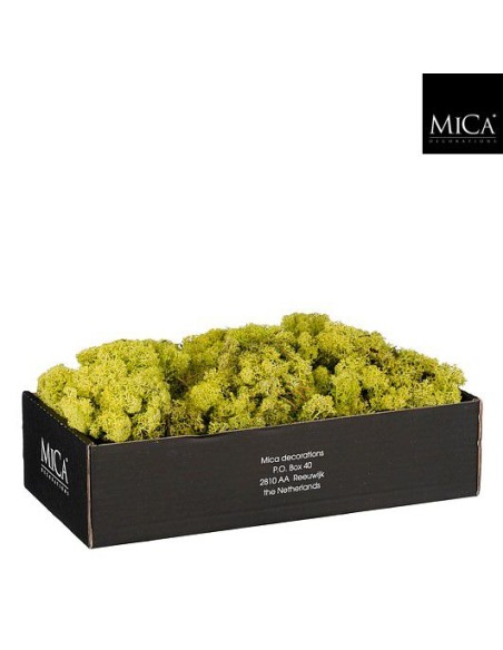 LICHENE MUSCHIO STABILIZZATO 500 gr di alta qualità
