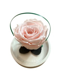 ROSA STABILIZZATA Profumata sotto cupola e base in legno 2