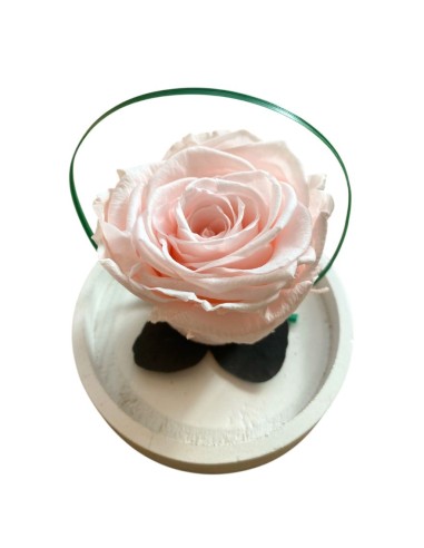 ROSA STABILIZZATA Profumata sotto cupola e base in legno