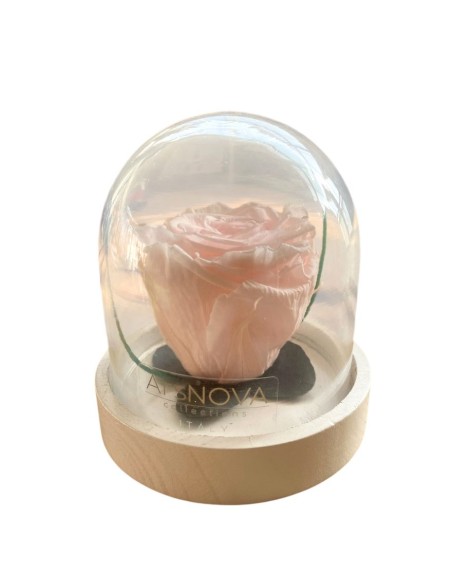 ROSA STABILIZZATA Profumata sotto cupola e base in legno