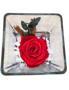 ROSA STABILIZZATA (baccara) in Cubo di Vetro con Pietre 2