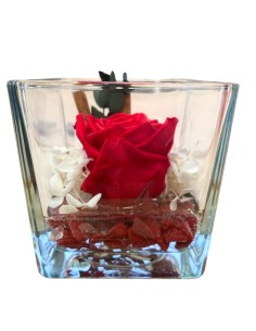 ROSA STABILIZZATA (baccara) in Cubo di Vetro con Pietre