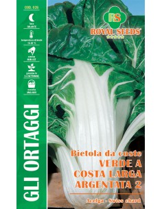 SEMI BIETOLA DA COSTA VERDE COSTA LARGA ARGENTATA2