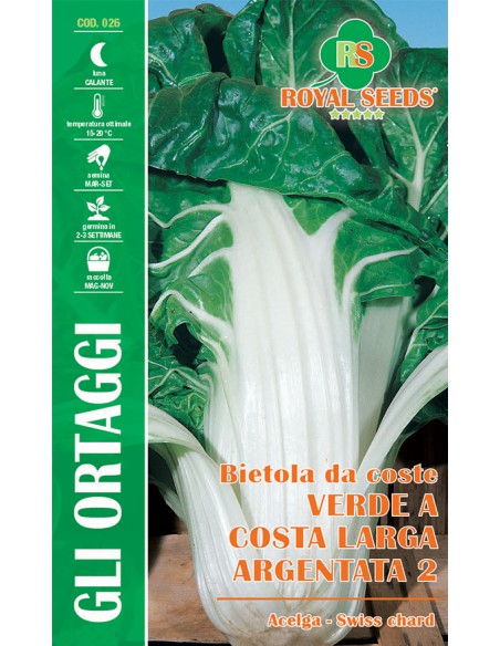 BIETOLA DA C.VERDE C. L.ARGENTATA2 MAXI