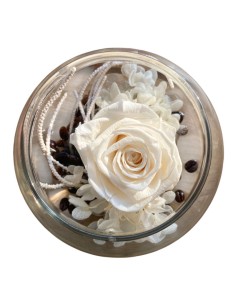 ROSA STABILIZZATA in Cloche di Vetro Simbolo di Amore Eterno 2