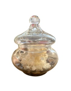 ROSA STABILIZZATA in Cloche di Vetro Simbolo di Amore Eterno