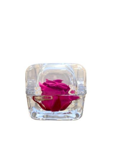 ROSA (Chérie) STABILIZZATA "Effetto Acqua" Profumata